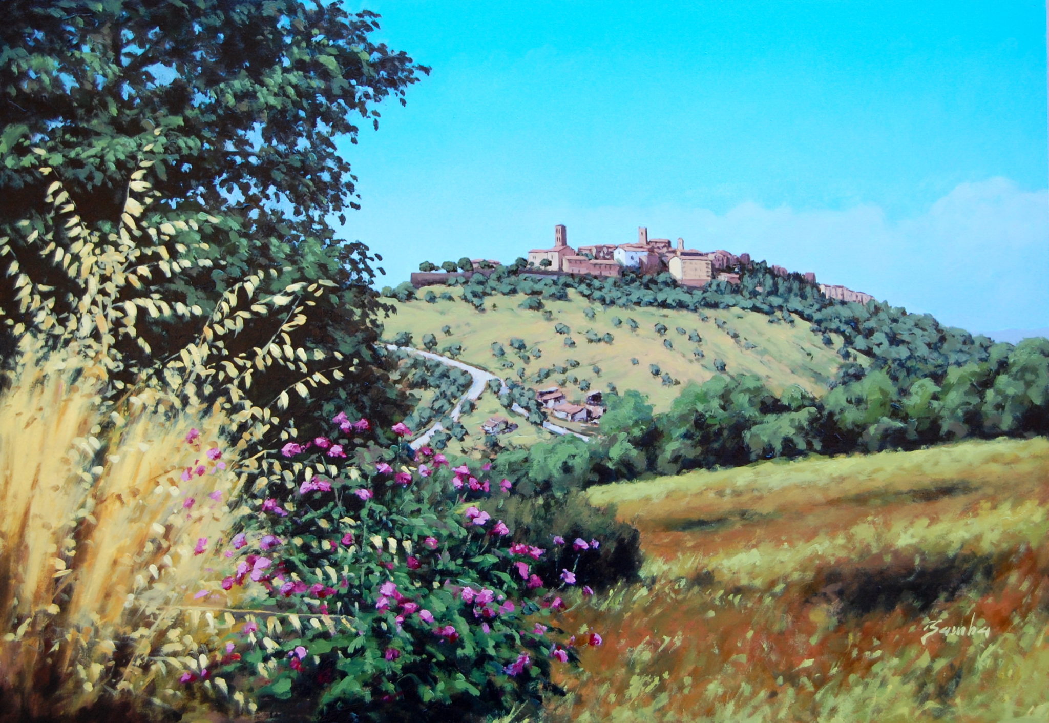 veduta di montepescali