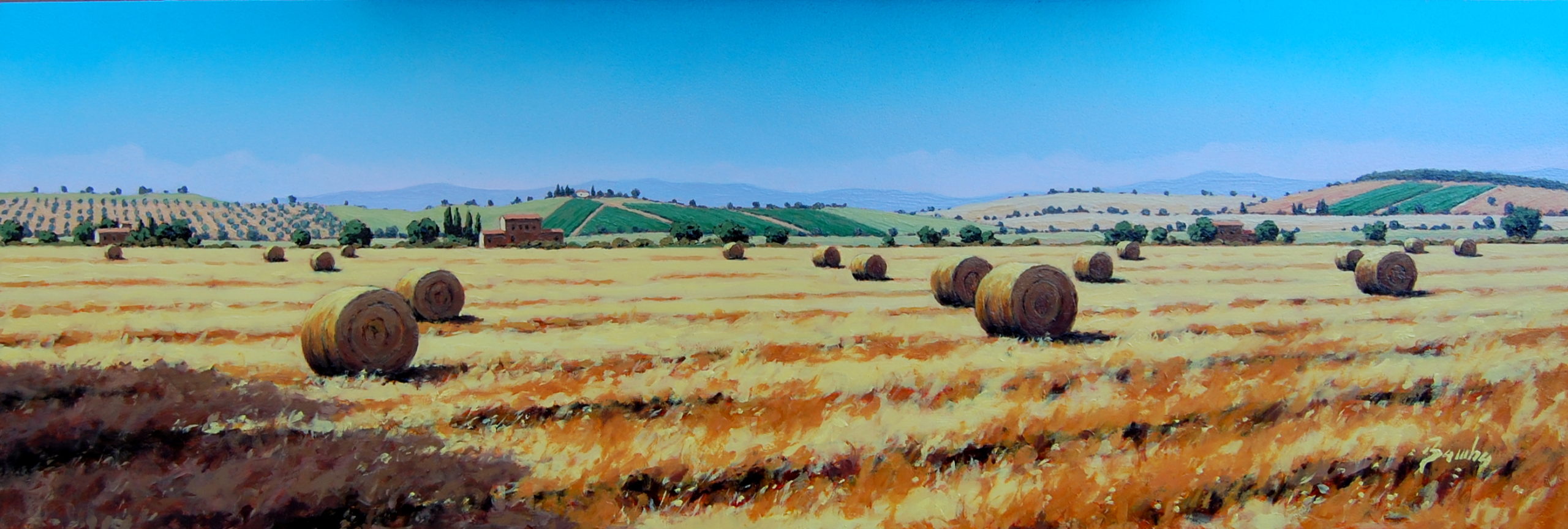 paesaggio della maremma in estate